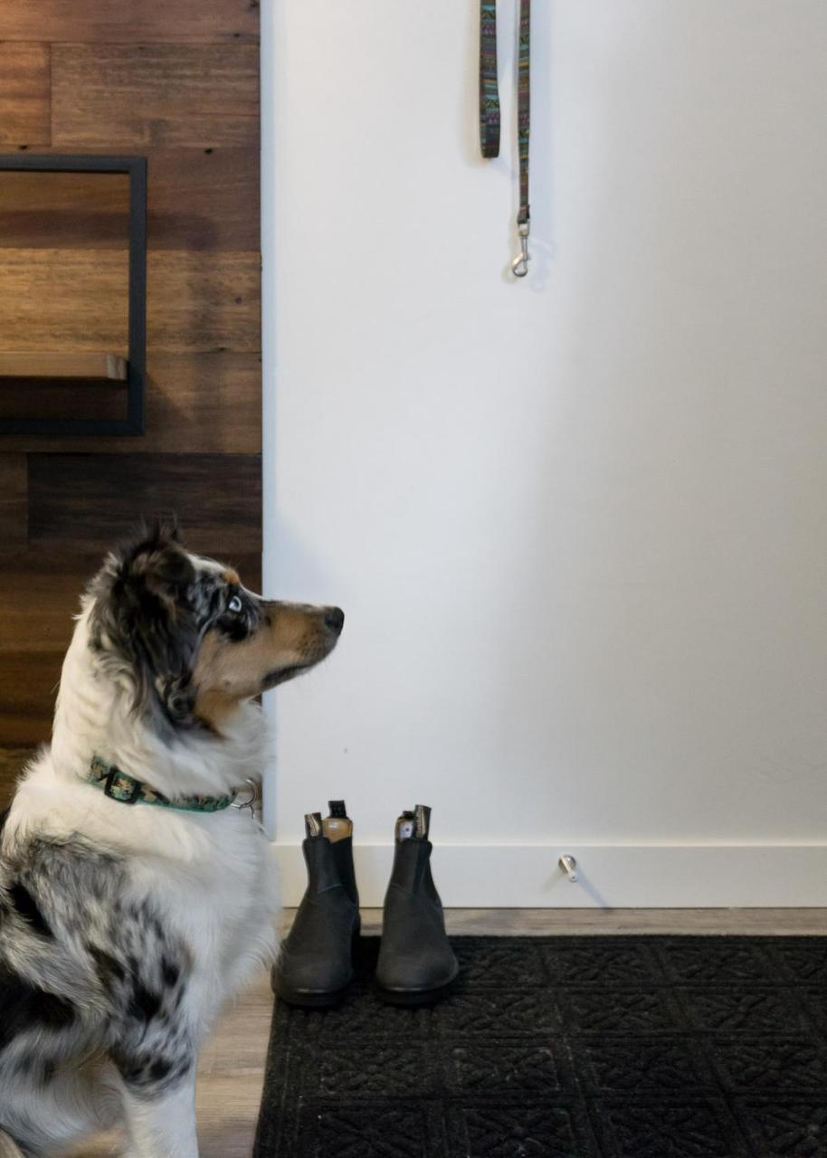 Tiny Homes By Snow Valley Lodging Fernie Εξωτερικό φωτογραφία